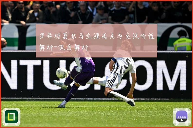 罗希特夏尔马生涯高光与竞技价值解析-深度解析